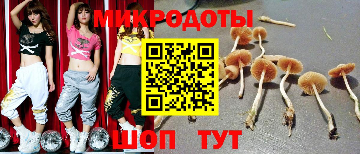 Галлюциногенные грибы ЛСД  Вход с VPN  Галлюциногенные грибы Psilocybe  Миасс 